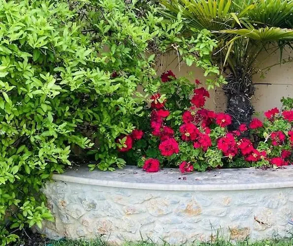 Oceanview Vicky Vilă Pefkochori