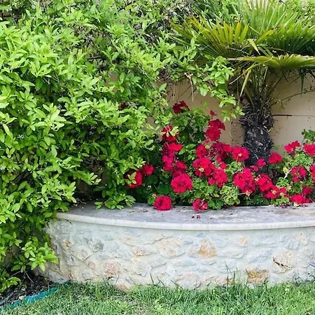 Oceanview Vicky Villa Pefkochori